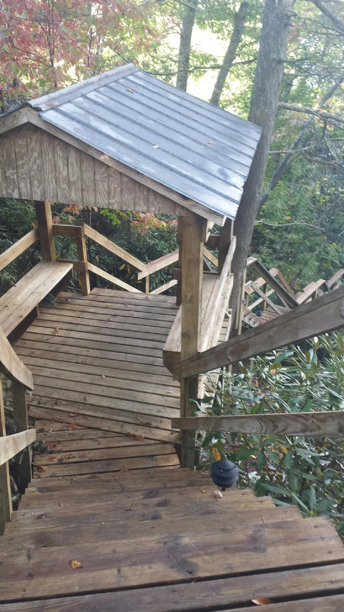 Metal roofed shelter over wooden steps on a wooded walkway — Skylight Repair & Installation work by our crew in Saint Leo
