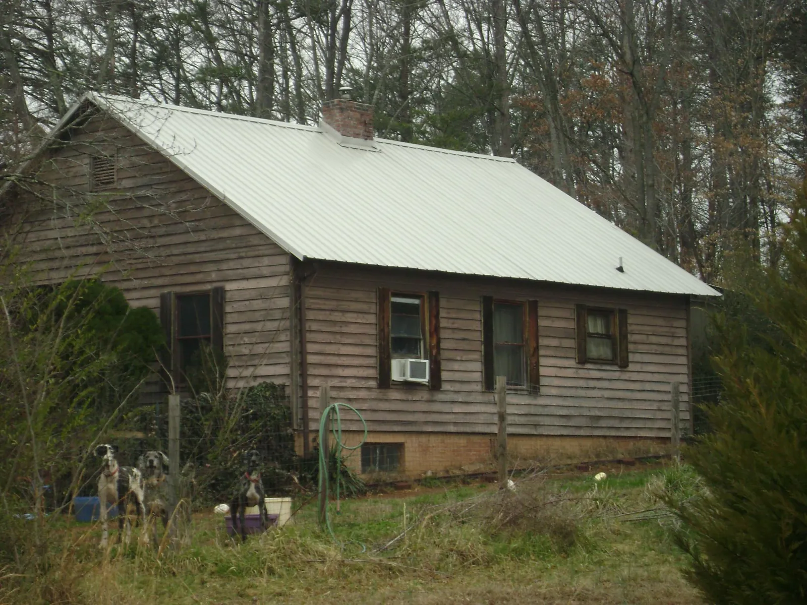 White metal roof on an old wood sided farmhouse, from a Asphalt Shingle Roof Repair job in Saint Leo